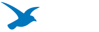 BlueBird Graphics